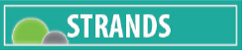 Strands